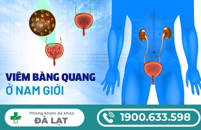 BIẾN CHỨNG VIÊM BÀNG QUANG