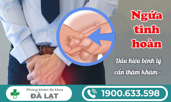 NGỨA TINH HOÀN VÀ NHỮNG ĐIỀU CẨN BIẾT