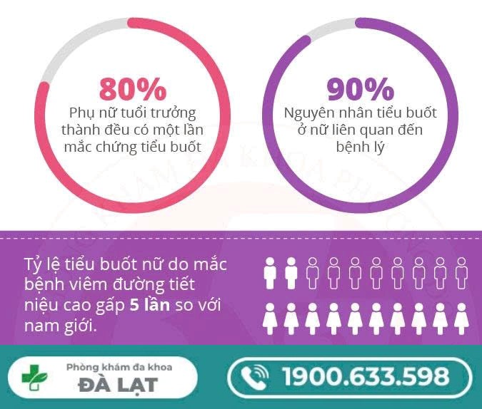 Hiện Tượng Đi Tiểu Buốt Ở Nữ Giới 