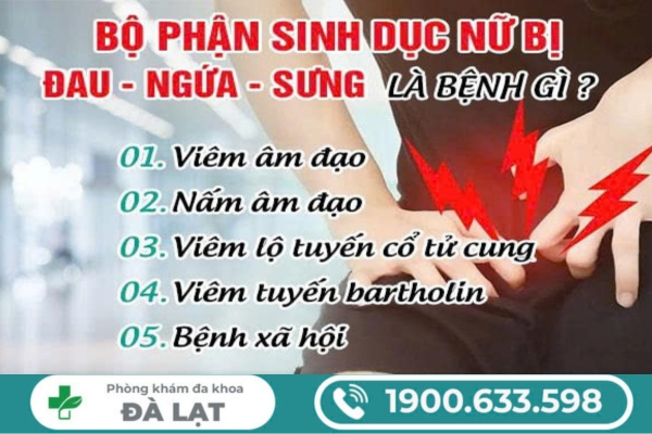 Bộ Phận Sinh Dục Nữ Bị Đau, Ngứa, Sưng 