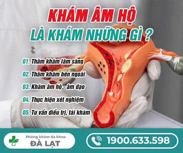 Khám Âm Hộ là Khám Những Gì? 