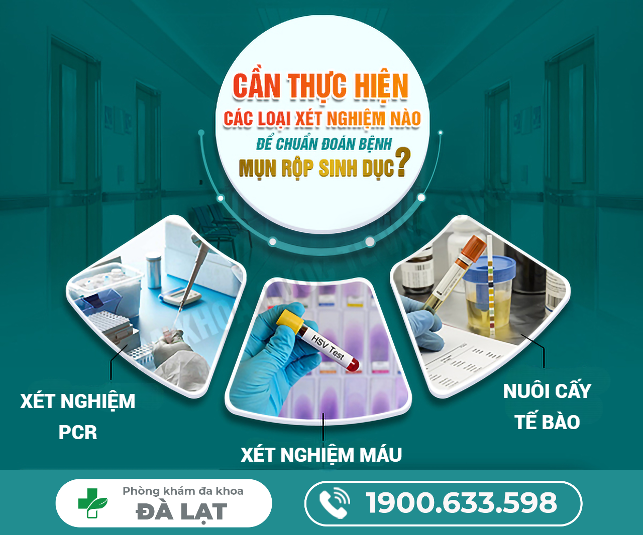 Xét Nghiệm Mụn Rộp Sinh Dục Như Thế Nào? Ở Đâu