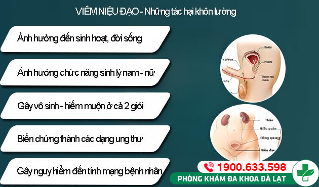 Viêm niệu đạo có nguy hiểm không?