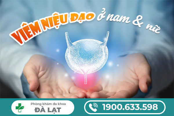TRIỆU CHỨNG ĐIỂN HÌNH CỦA VIÊM NIỆU ĐẠO Ở NAM VÀ NỮ