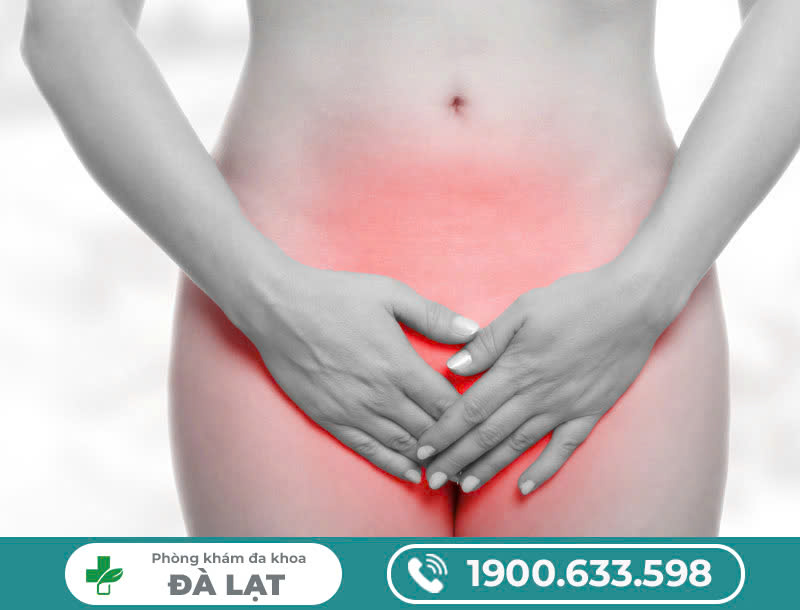 MỤN BÃ ĐẬU Ở VÙNG KÍN,NGUYÊN NHÂN,BIẾN CHỨNG,PHƯƠNG PHÁP ĐIỀU TRỊ HIỆU QUẢ.