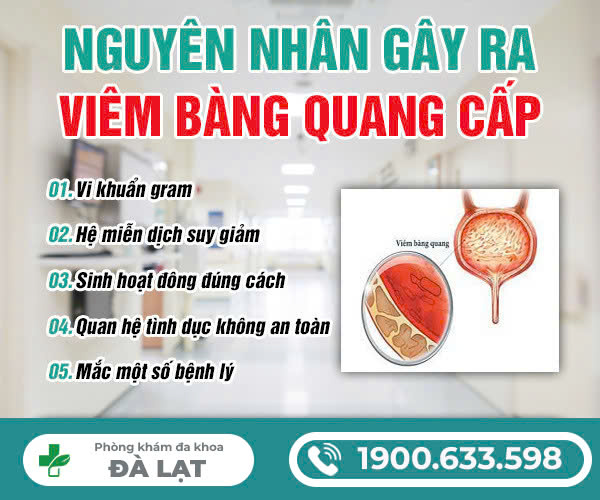 VIÊM BÀNG QUANG CẤP VÀ NHỮNG THÔNG TIN CẦN BIẾT