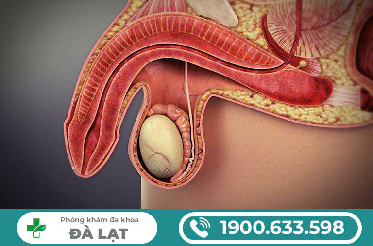 Tổng quan, nguyên nhân và hướng điều trị: Ngứa dương vật, bong tróc da có mủ trắng