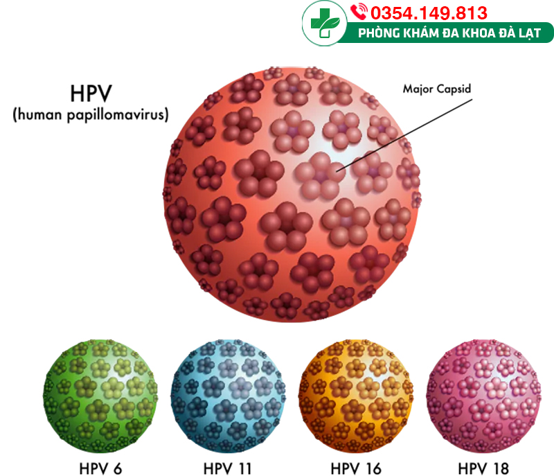 Herpes hậu môn là gì?