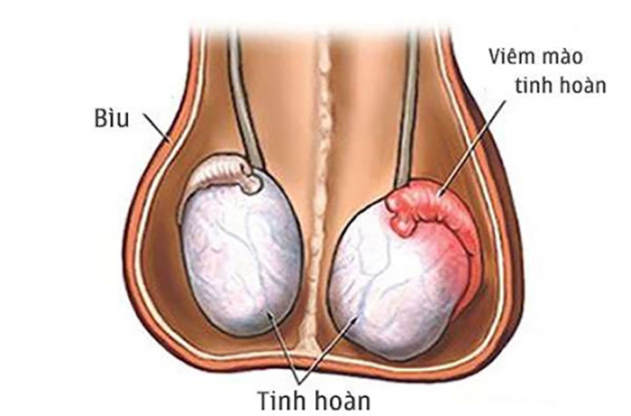 U BÃ ĐẬU Ở BÌU