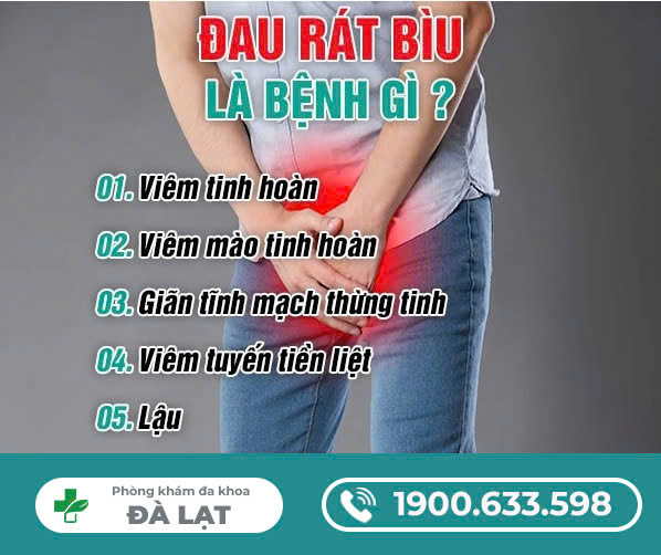 NGỨA DÁI Ở NAM GIỚI: NGUYÊN NHÂN, TRIỆU CHỨNG VÀ HƯỚNG XỬ LÝ TOÀN DIỆN
