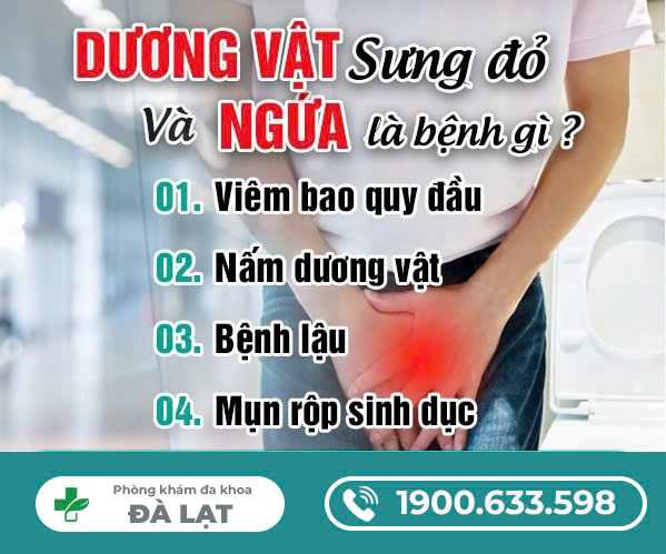 DƯƠNG VẬT BỊ SƯNG MỌNG NƯỚC CẨN THẬN BỆNH LÝ