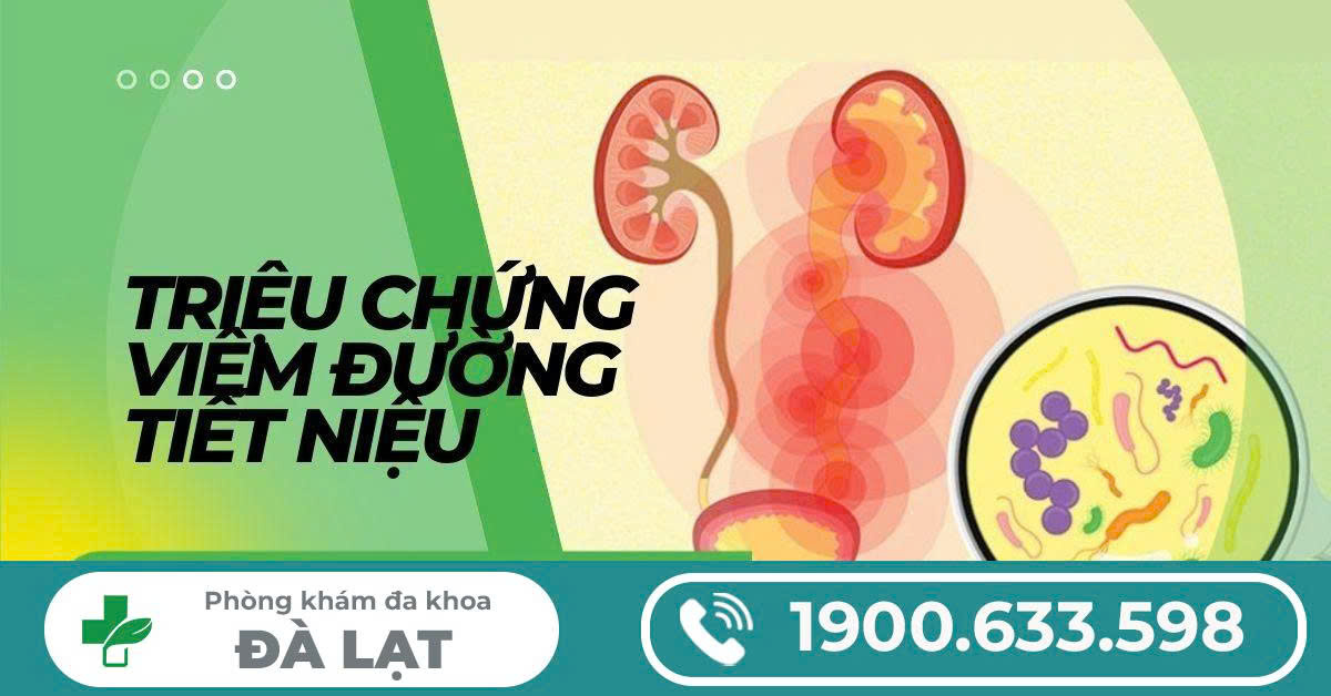 VIÊM ĐƯỜNG TIẾT NIỆU LÀ GÌ? TRIỆU CHỨNG VÀ CÁCH CHỮA TRỊ