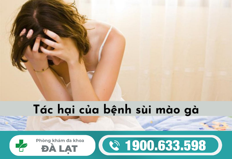 NHỮNG TÁC HẠI CỦA BỆNH SÙI MÀO GÀ VÀ CÁCH PHÒNG TRÁNH