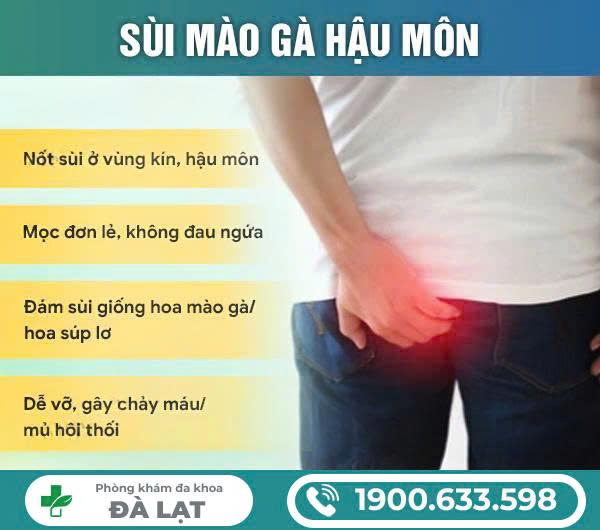 NHẬN DIỆN SÙI MÀO GÀ HẬU MÔN Ở GIAI ĐOẠN ĐẦU ĐỂ ĐIỀU TRỊ KỊP THỜI