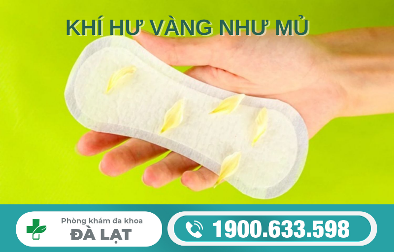 KHÍ HƯ VÀNG NHƯ MỦ LÀ BỆNH GÌ? DẤU HIỆU NHẬN BIẾT VÀ XỬ LÝ