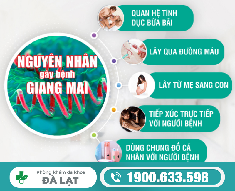 NGUYÊN NHÂN GÂY BỆNH GIANG MAI THƯỜNG GẶP