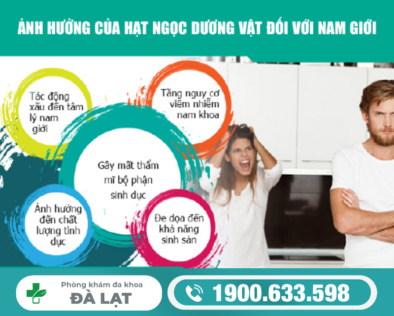 HẠT NGỌC DƯƠNG VẬT CÓ ẢNH HƯỞNG GÌ ĐẾN SỨC KHỎE NAM GIỚI?