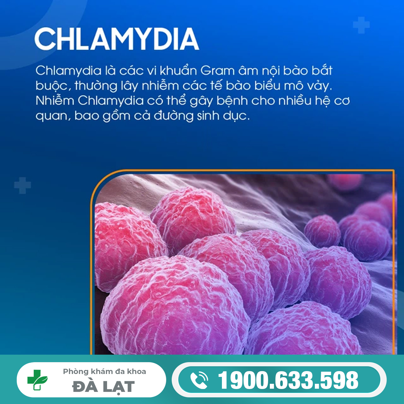 Chlamydia Có Nguy Hiểm Không? Tác Hại, Biến Chứng Và Những Điều Bạn Cần Biết 
