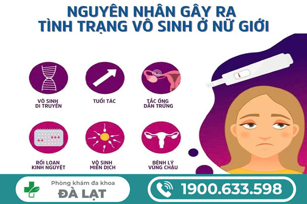Nguyên Nhân Gây Ra Hiếm Muộn Ở Nữ Giới 