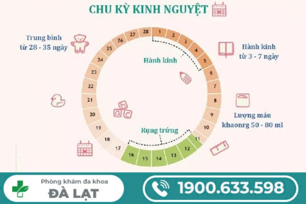 Tắc Kinh Ở Nữ Giới: Nguyên Nhân, Biểu Hiện và Biến Chứng 