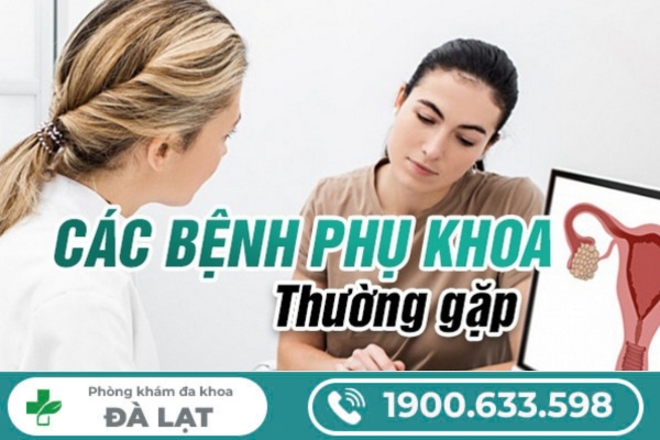 Các Bệnh Phụ Khoa Thường Gặp Ở Nữ Giới 
