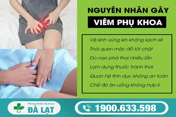 Nguyên Nhân Gây Ra Các Bệnh Viêm Phụ Khoa 