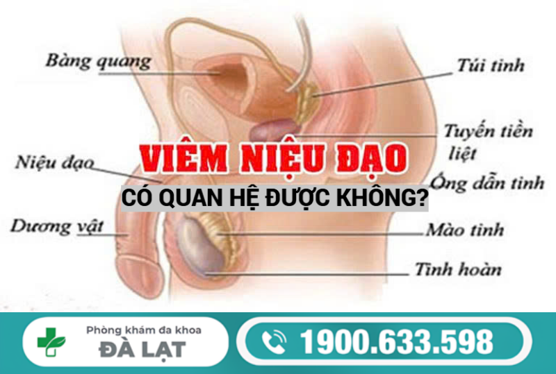 BỊ VIÊM NIỆU ĐẠO Ở NAM GIỚI CÓ QUAN HỆ ĐƯỢC KHÔNG? NHỮNG ĐIỀU CẦN BIẾT 