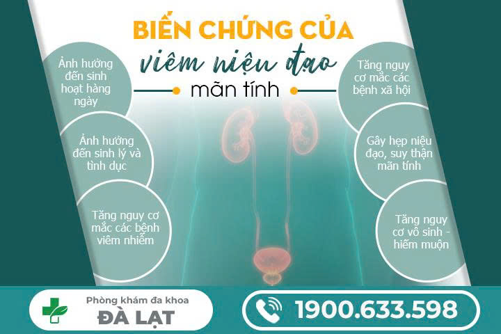 VIÊM NIỆU ĐẠO MÃN TÍNH Ở NAM: NGUYÊN NHÂN, TRIỆU CHỨNG VÀ CÁCH ĐIỀU TRỊ