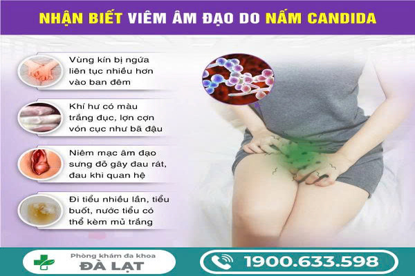 Viêm Âm Đạo Do Nấm Candida
