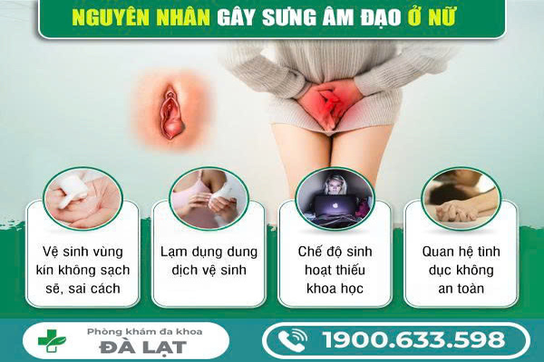 Sưng Âm Đạo: Nguyên Nhân, Biểu Hiện, Biến Chứng 