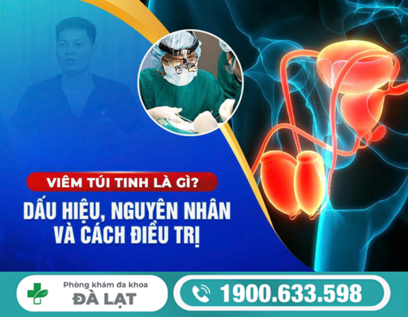 BỆNH VIÊM TÚI TINH Ở NAM GIỚI LÀ GÌ? NGUYÊN NHÂN VÀ CÁCH ĐIỀU TRỊ HIỆU QUẢ 