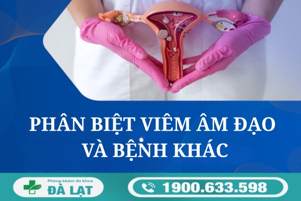Phân Biệt Viêm Âm Đạo Và Các Bệnh Khác 