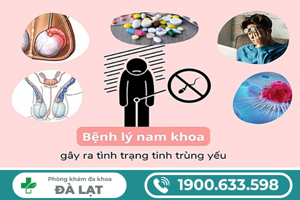 TINH TRÙNG YẾU CÓ SAO KHÔNG? NHỮNG NGUY CƠ NAM GIỚI CẦN BIẾT