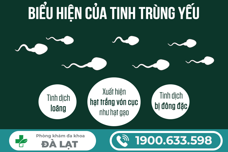 CÁCH CHỮA BỆNH TINH TRÙNG YẾU Ở NAM GIỚI HIỆU QUẢ HIỆN NAY 