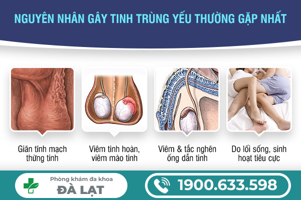 TINH TRÙNG YẾU VÀ LOÃNG LÀ GÌ? DẤU HIỆU NHẬN BIẾT VÀ BIẾN CHỨNG NGUY HIỂM 