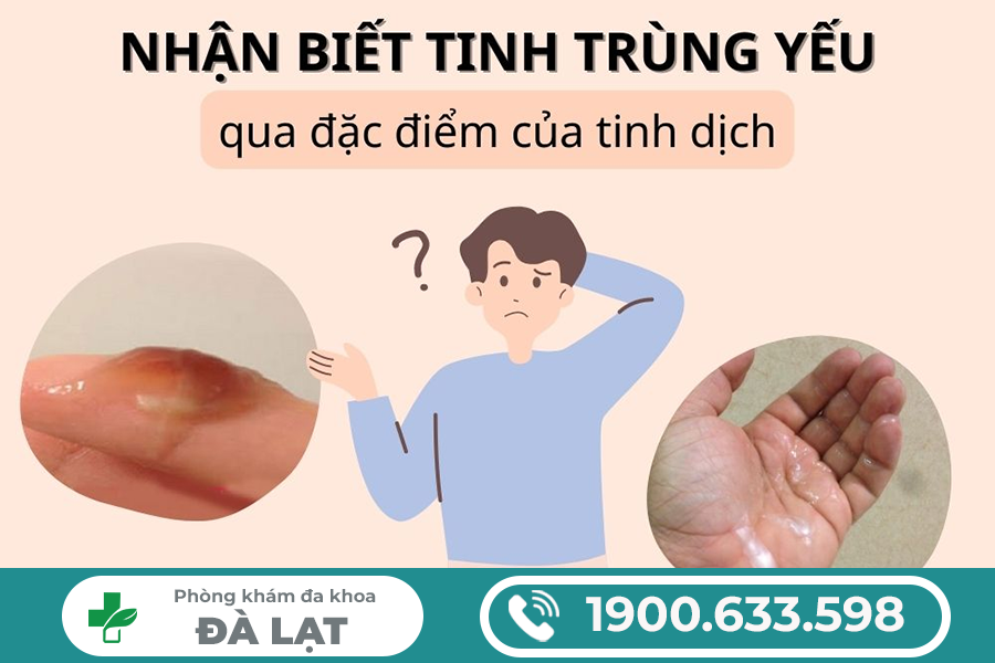 TINH TRÙNG ÍT Ở NAM GIỚI: DẤU HIỆU, NGUYÊN NHÂN VÀ CÁCH ĐIỀU TRỊ HIỆU QUẢ