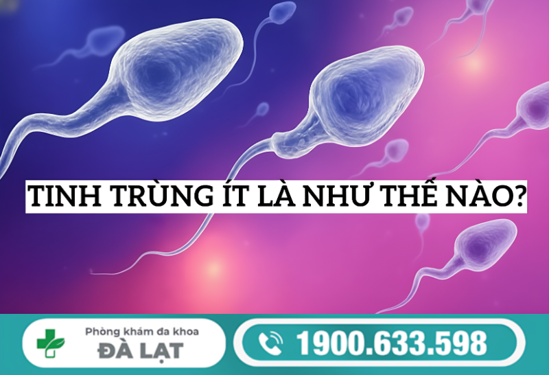TINH TRÙNG ÍT Ở NAM GIỚI DO ĐÂU? GIẢI THÍCH CỦA BÁC SĨ CHUYÊN KHOA 