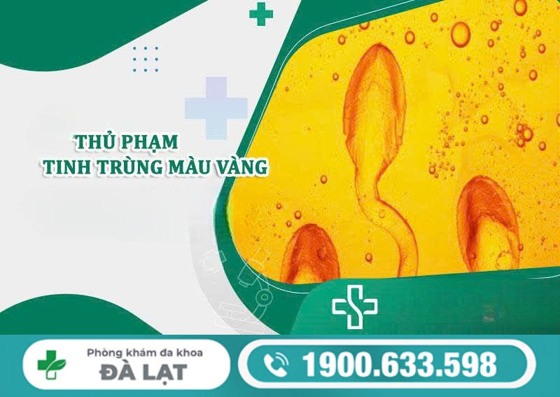 NGUYÊN NHÂN TINH TRÙNG MÀU VÀNG Ở NAM GIỚI VÀ CÁCH ĐIỀU TRỊ HIỆU QUẢ 
