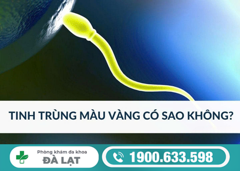 TINH TRÙNG MÀU VÀNG CÓ SAO KHÔNG? NHỮNG ĐIỀU NAM GIỚI CẦN BIẾT