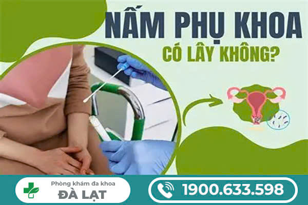 Nấm Phụ Khoa Có Lây Không? 