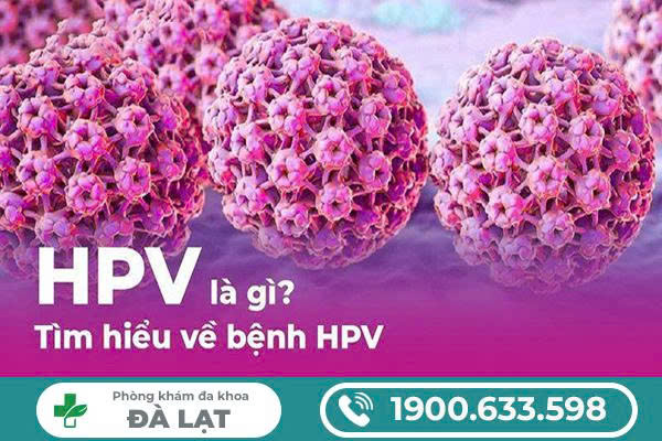 TÌM HIỂU NHỮNG ĐIỀU CẦN BIẾT VỀ HPV