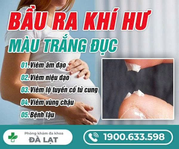 Mang Bầu Ra Khí Hư Màu Trắng 
