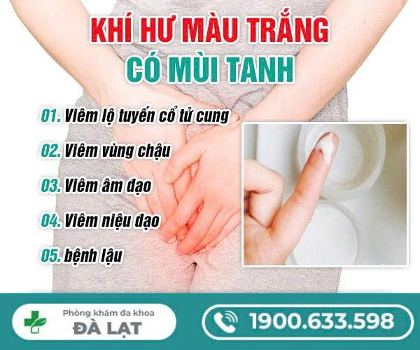 Ra Khí Hư Màu Trắng Có Mùi Tanh Do Đâu? 