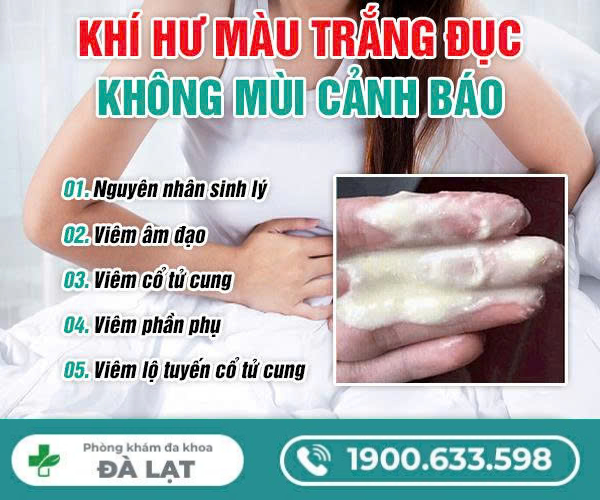 Khí Hư Màu Trắng Đục Không Mùi Cảnh Báo Bệnh Lý Nào? 