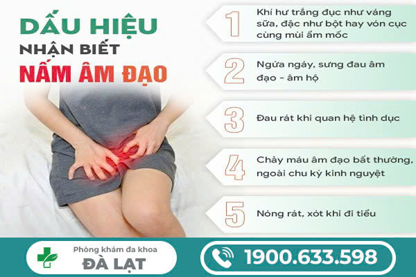 Biểu Hiện Khi Bị Nấm Âm Đạo 