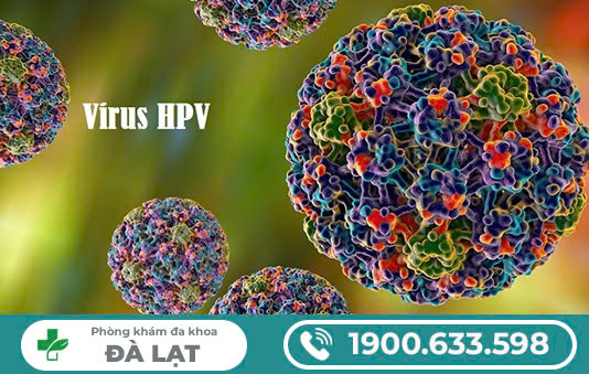 Tại sao bị nhiễm virus hpv ?