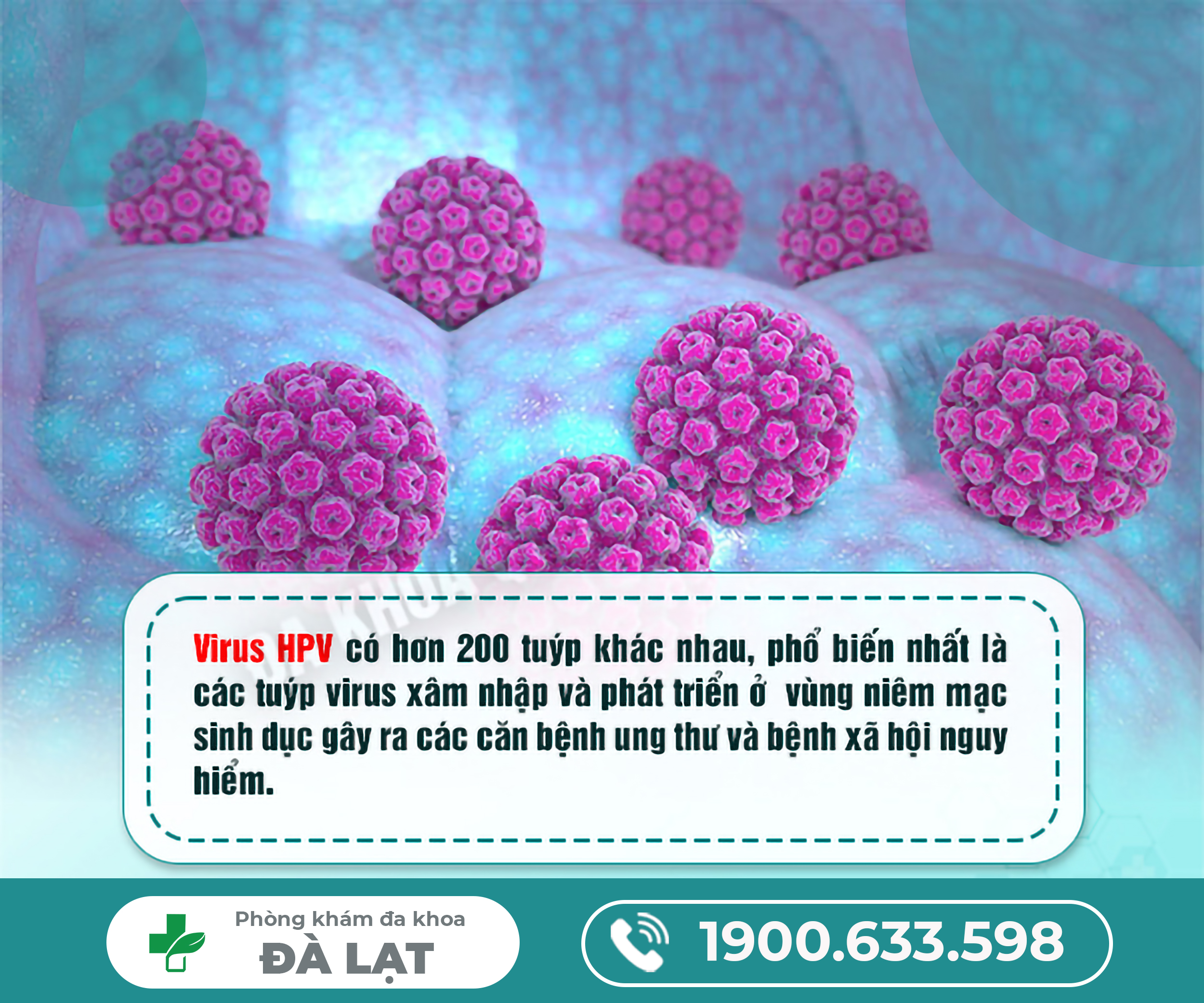 Hpv có nguy hiểm không ?