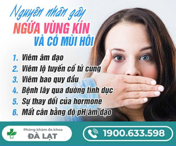 Bị Ngứa Vùng Kín Và Có Mùi Hôi 