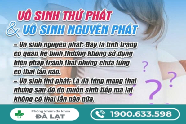 Tìm Hiểu Vô Sinh Thứ Phát Và Vô Sinh Nguyên Phát 