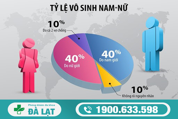 Vô Sinh Có Di Truyền Không? 